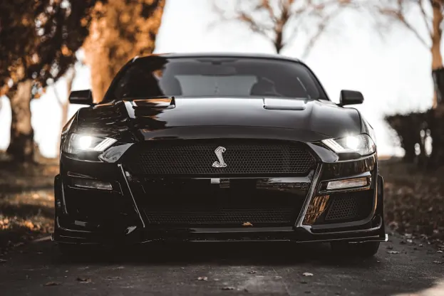 Pure Casino Android/iOS App